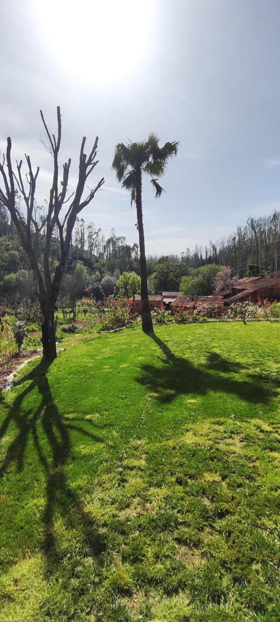 Charm House Casa Da Eira Villa Angeja Ngoại thất bức ảnh